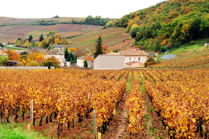 bourgogne